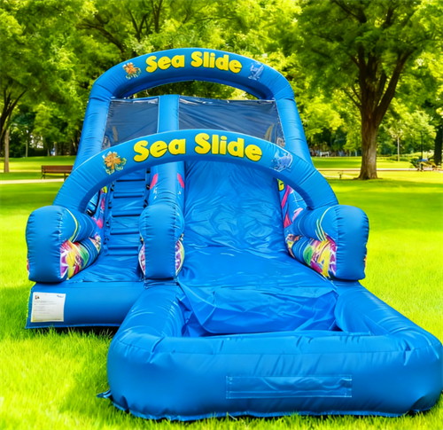 Inflatable Water Slide Summer Adventure