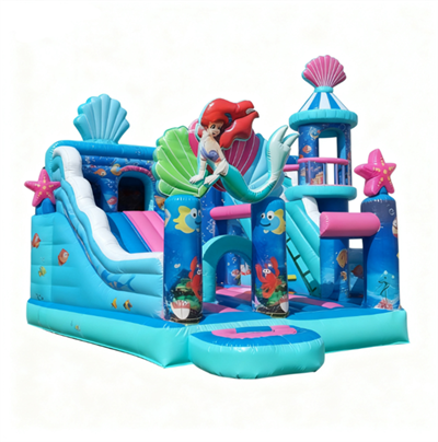 Inflatable Bounce House Combo Bouncy Castle