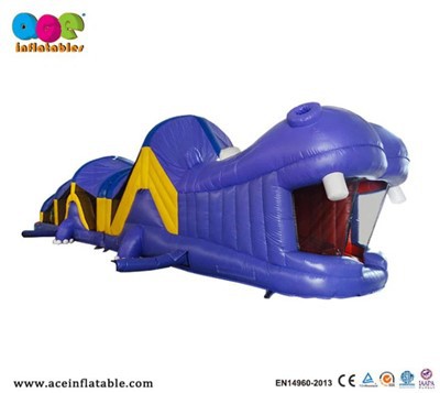 Inflatable Hippo Long Obstacle Course
