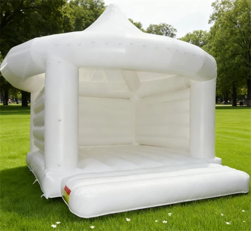 Inflatable Wedding Bouncer best
