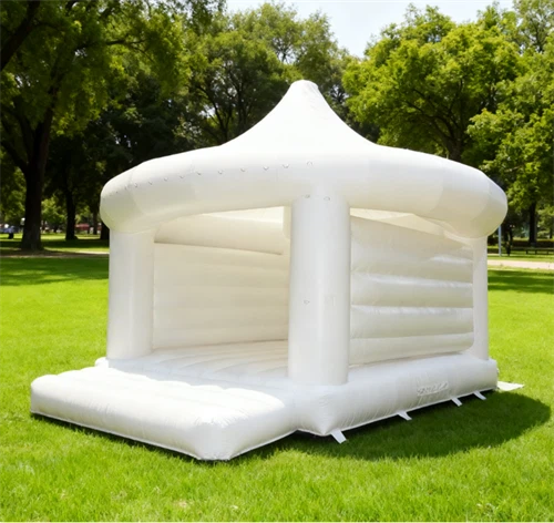Inflatable Wedding Bouncer suppliers